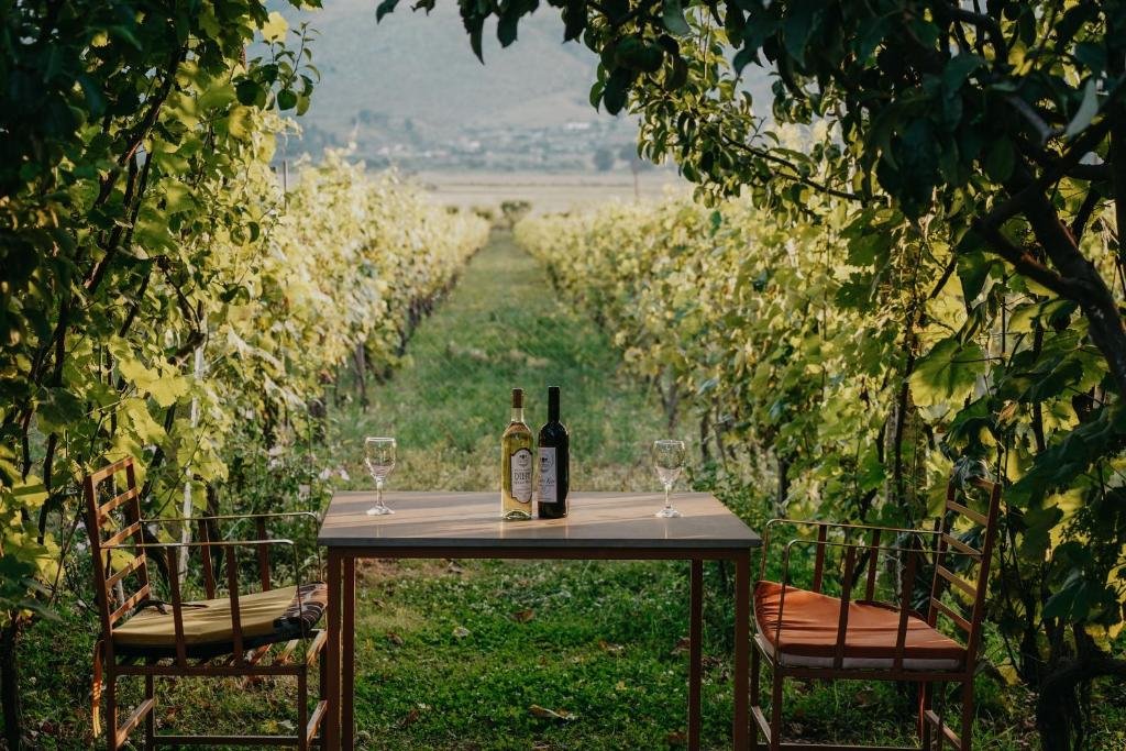 Au cœur du pays des aigles – un voyage entre histoire et nature - Jour 10 – The Barrels – Un refuge insolite au cœur des vignobles - Tagesfoto