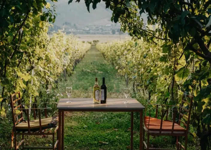 Au cœur du pays des aigles – un voyage entre histoire et nature - Jour 10 – The Barrels – Un refuge insolite au cœur des vignobles - Photo du jour