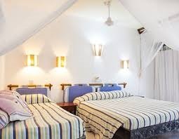 Kenya Swahili Heritage, Mombasa and Amboseli Safari - Full-Day Mombasa Historic Tour - Photo of the day