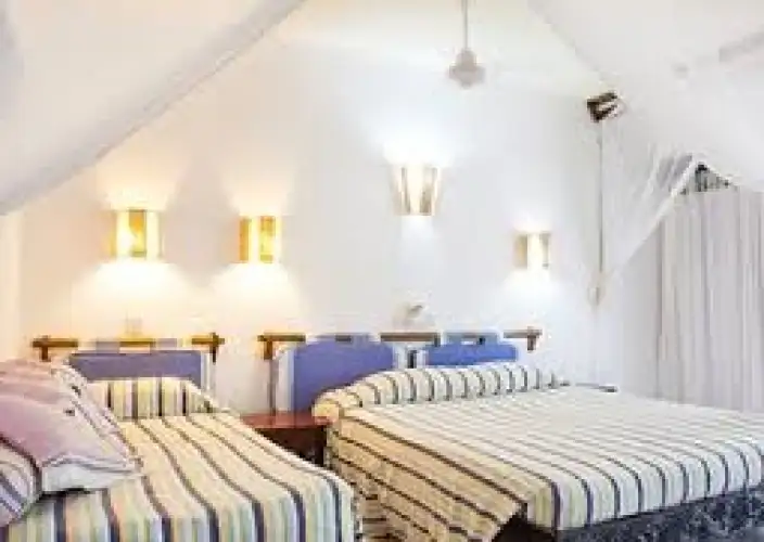 Kenya Swahili Heritage, Mombasa and Amboseli Safari - Full-Day Mombasa Historic Tour - Photo of the day