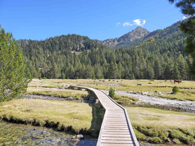 Réveillon en raquettes dans les Pyrénées.