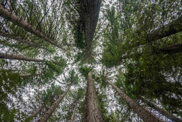 Must-sees van Nieuw-Zeeland