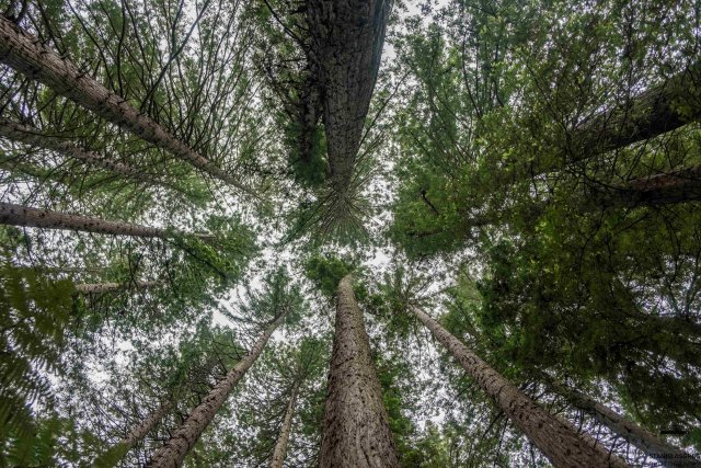 Imperdíveis da Nova Zelândia