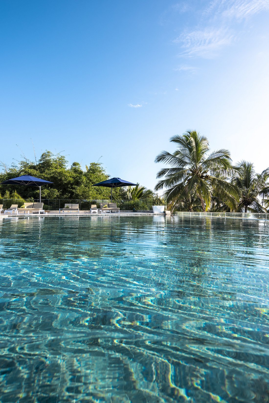 Tansania & Sansibar: 13-tägige Safari- und Strand-Erfahrung - Abreise | Transfer zum Flughafen - Tagesfoto