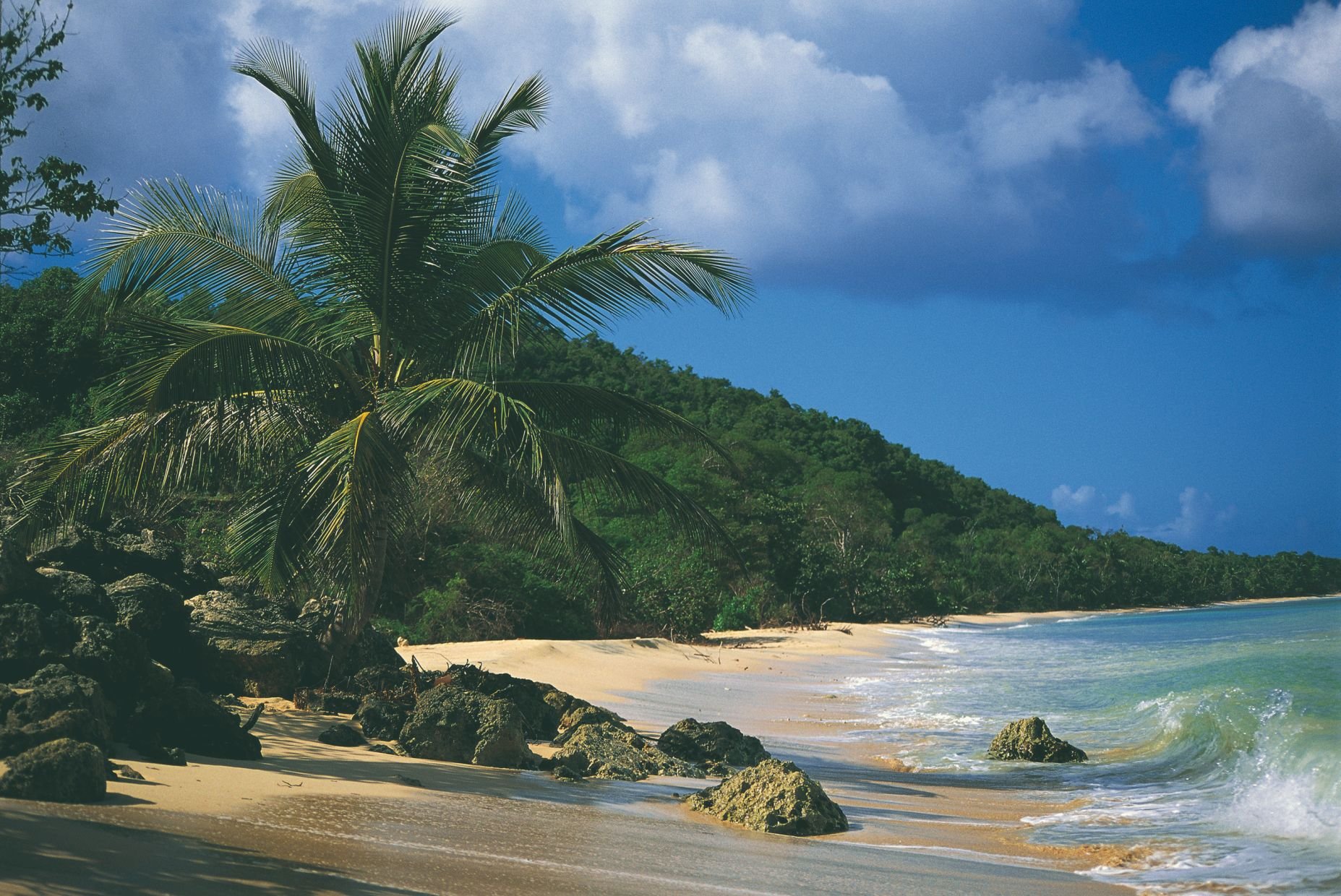 La Guadeloupe et ses îles en 9 jours - Patrimoine et randonnée à Marie-Galante - Patrimoine et randonnée à Marie-Galante