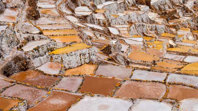 Galápagos und Machu Picchu