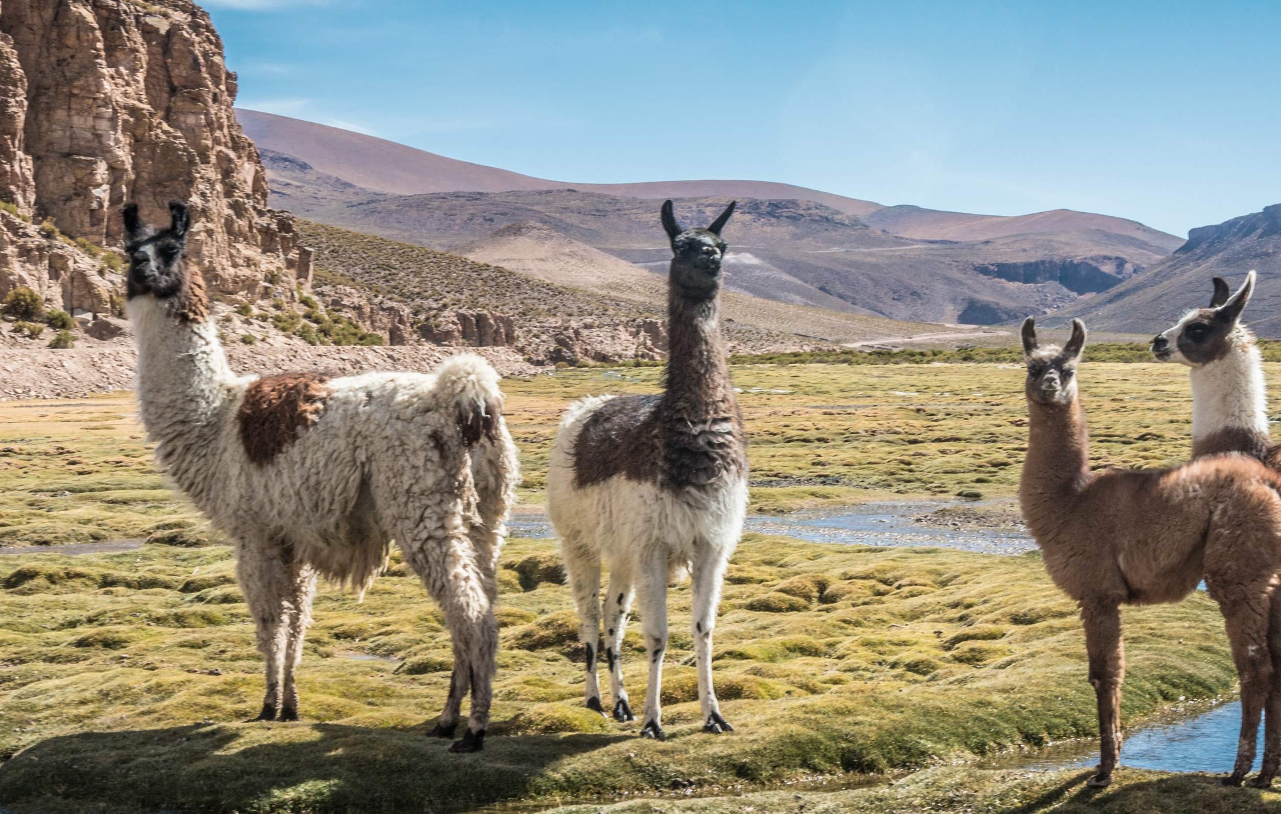 De niet te missen bezienswaardigheden van Bolivia: we zullen (bijna) alles gezien hebben! - Tuni - La Paz - Tuni - La Paz