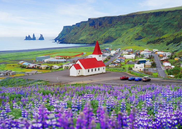 Epische Südküsten-Kleingruppentour – Wasserfälle & Schwarzer Sandstrand - Vík í Mýrdal - Tagesfoto