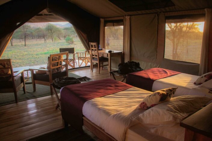 10-Day Private Tanzania Lodge Safari for Two - Serengeti - Full Day - Photo of the day