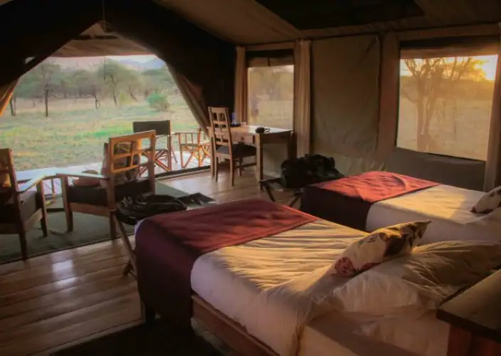 10-Day Private Tanzania Lodge Safari for Two - Serengeti - Full Day - Foto del giorno