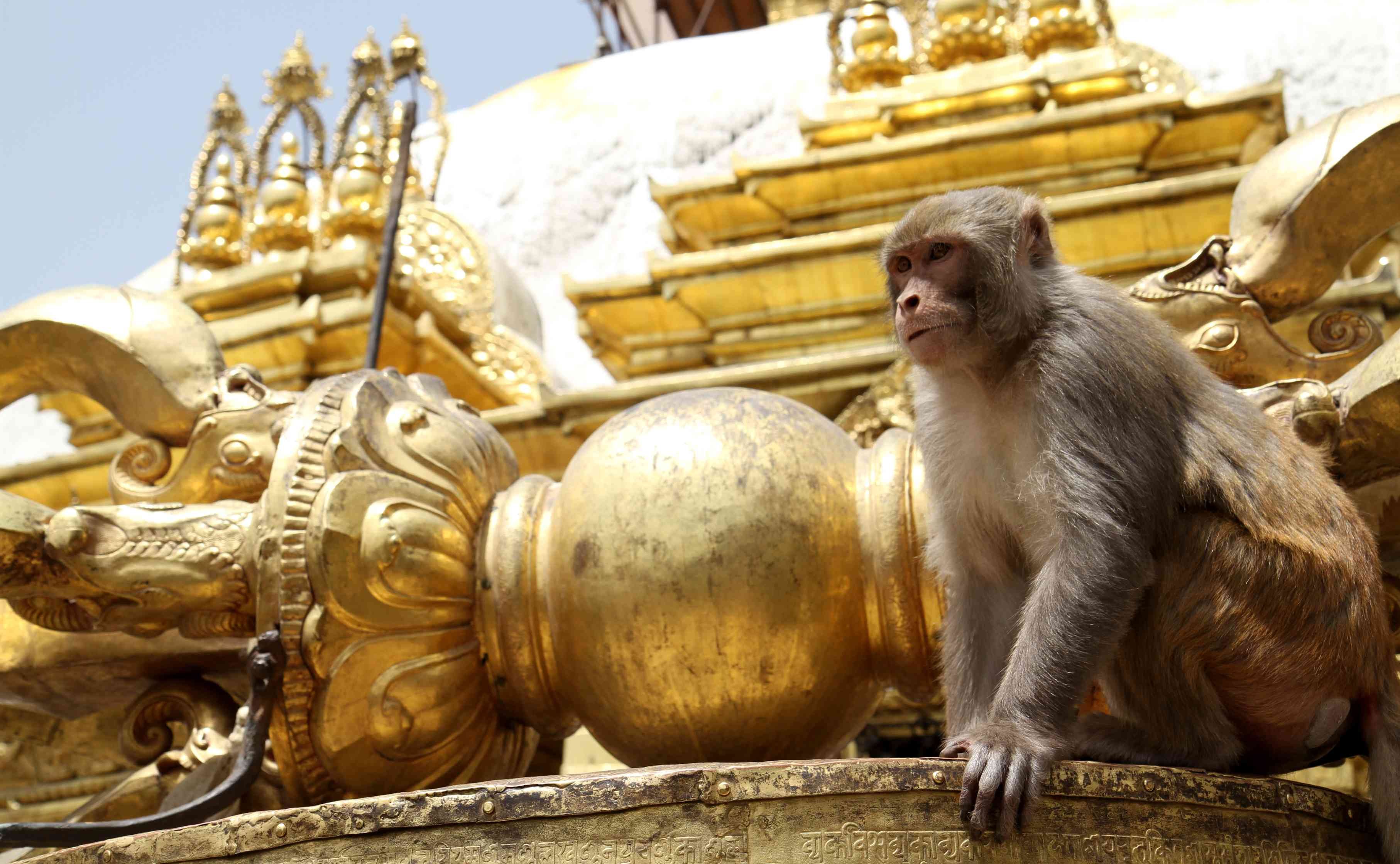 Everest basiskamp, Cho La Pass, Gokyo Peak en Kala Pattar. - Lukla - Kathmandu - Lukla - Katmandou