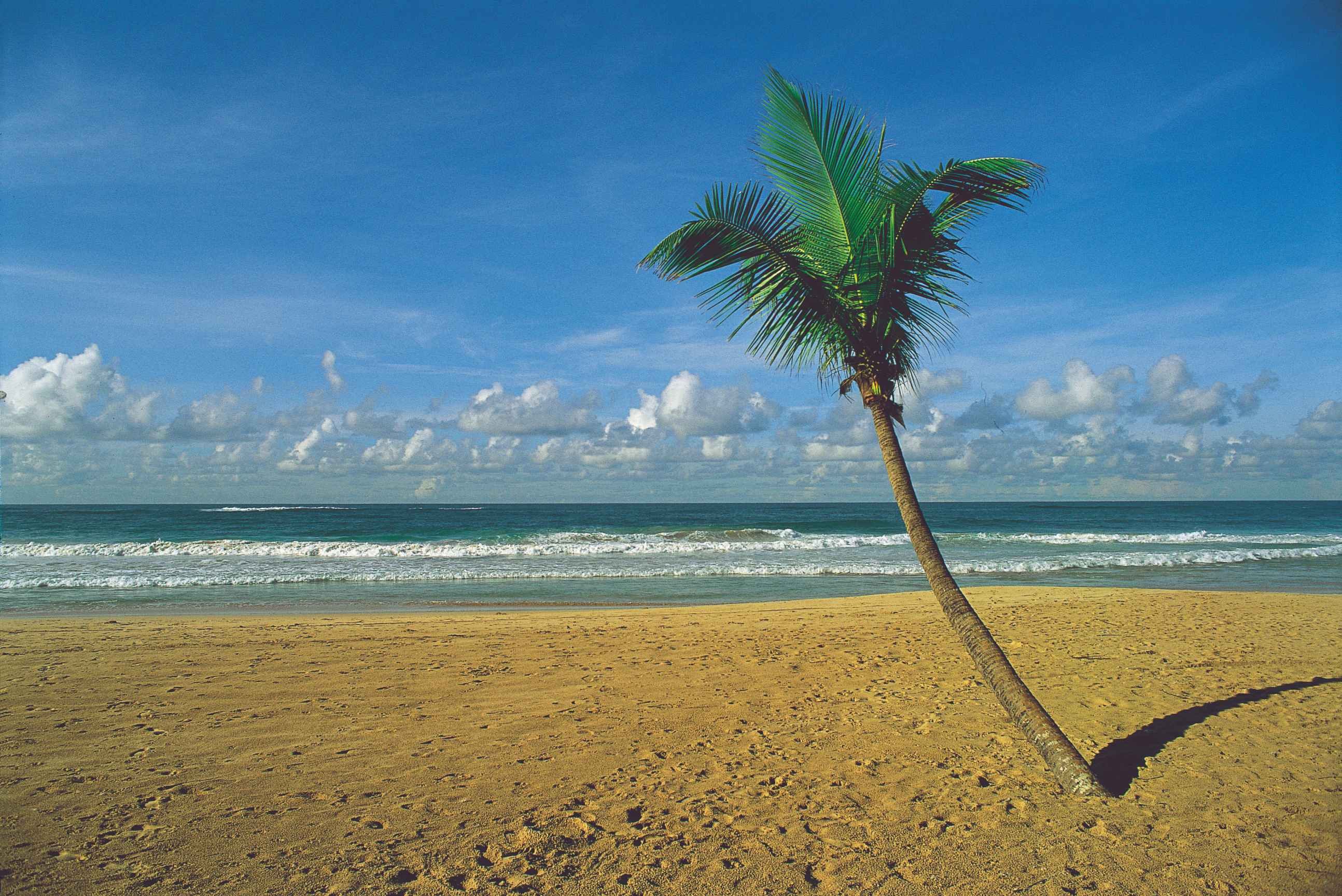 Well-being, relaxation and culture stay - Relaxation at Tallala - Détente à Tallala