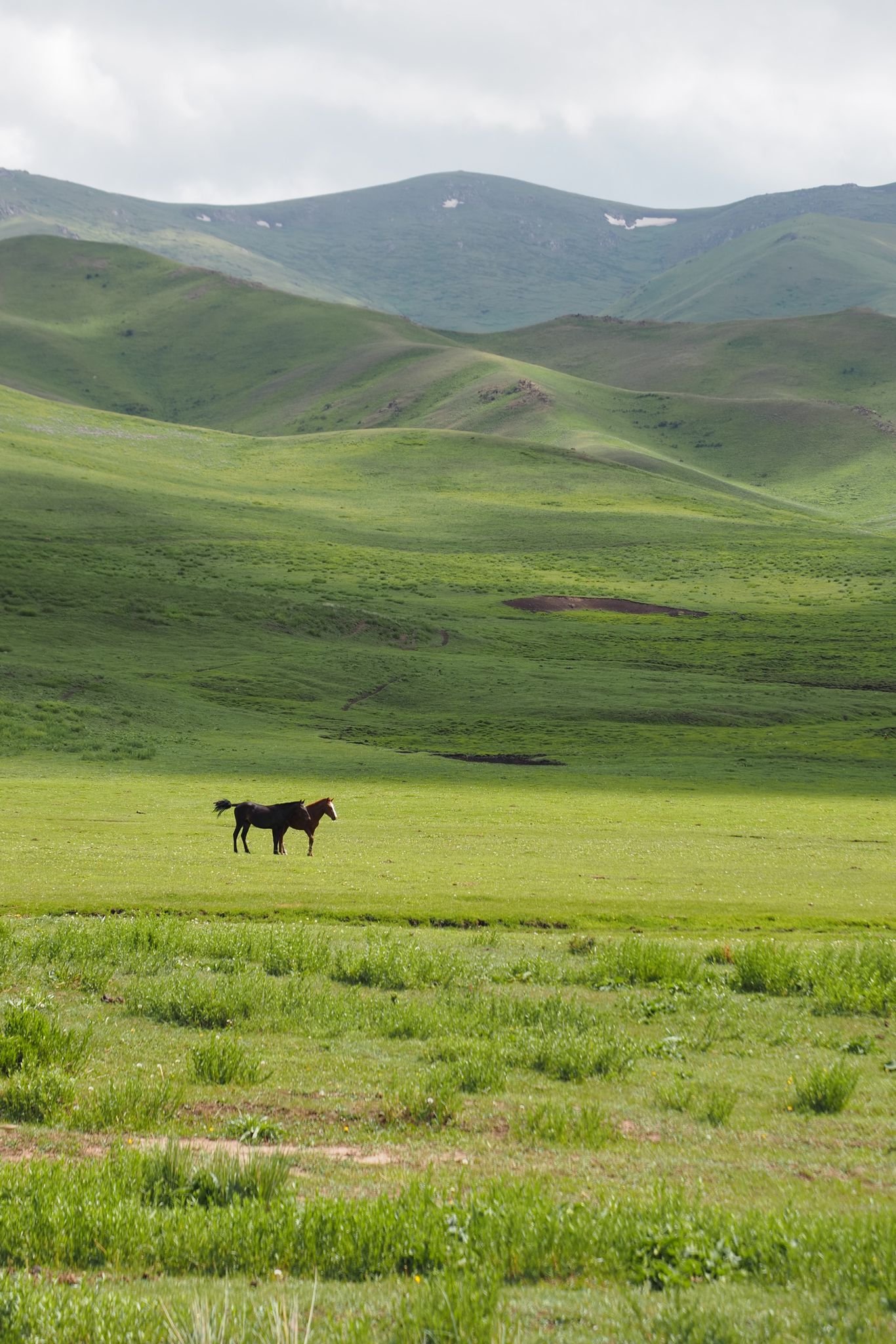 Tailor-made trip to Kyrgyzstan – Hiking in the land of nomads - Hiking - Photo of the day
