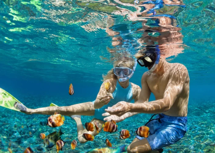 7 giorni di esplorazione dalle dune di sabbia di Wahiba alle dune di zucchero di Khaluf in Oman - Esplora l'isola Dimaniyat con snorkeling (in condivisione) - Foto del giorno