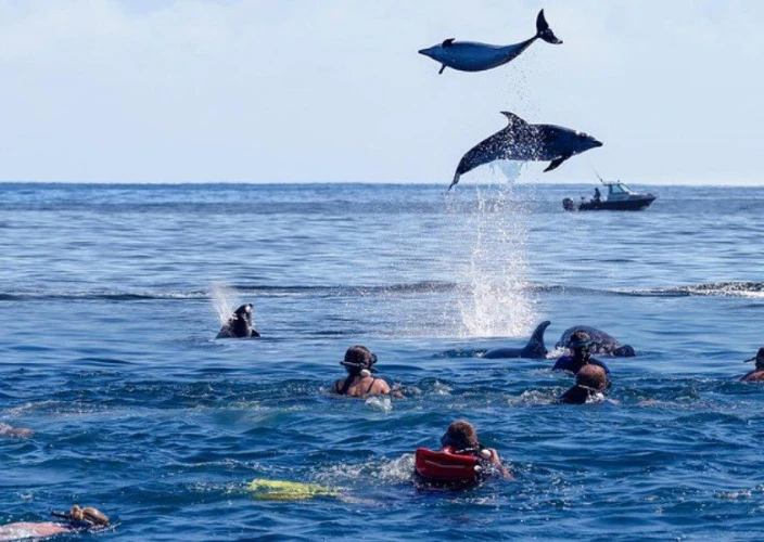 12 Days African Love Affair – Safari & Zanzibar - Zanzibar Beach Retreat - Photo of the day