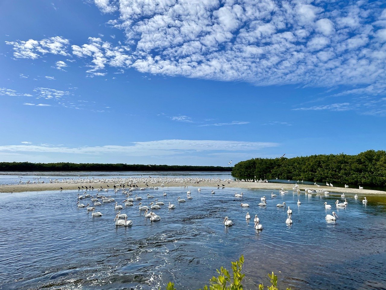 Les incontournables de la Floride - Fort Myers - Fort Myers