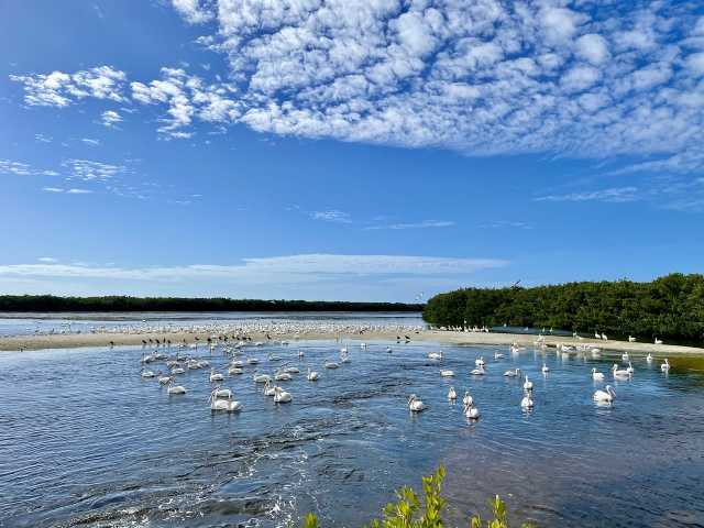 The must-sees of Florida