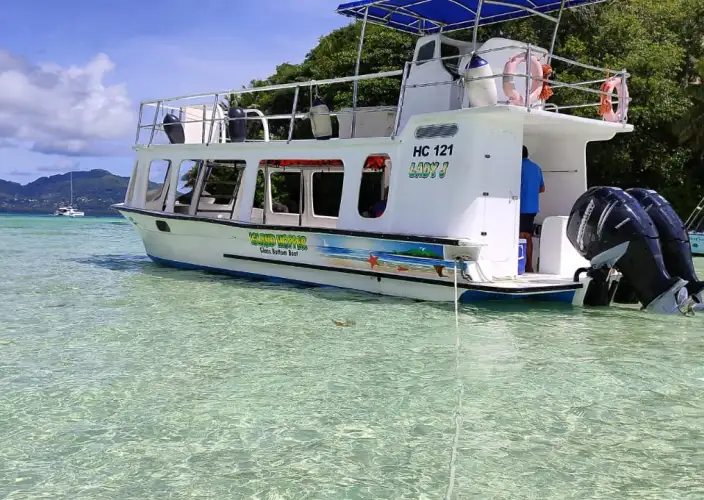 Seychellen: Voorbij het strand - Privé of Gedeelde Reef Safari Snorkelavontuur - Foto van de dag