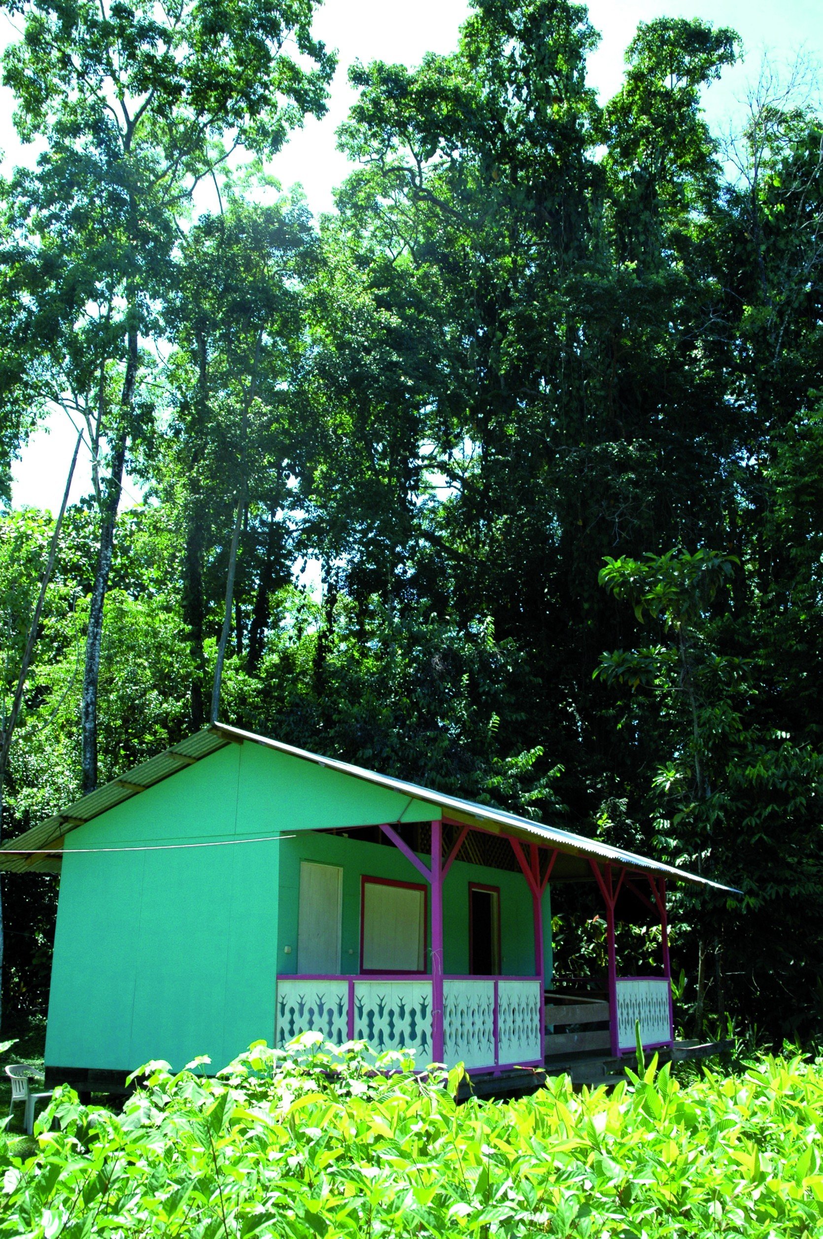 Descubrimiento del verdadero Costa Rica, orientado hacia la tierra y la agricultura. - Refugio Baru - Refuge Baru