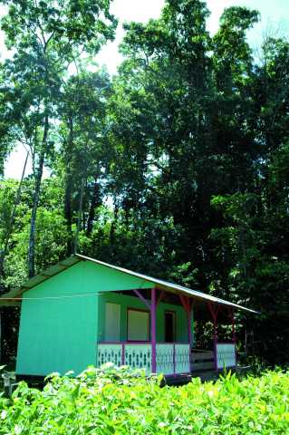 Ontdekking van het echte Costa Rica, gericht op het land en de landbouw.