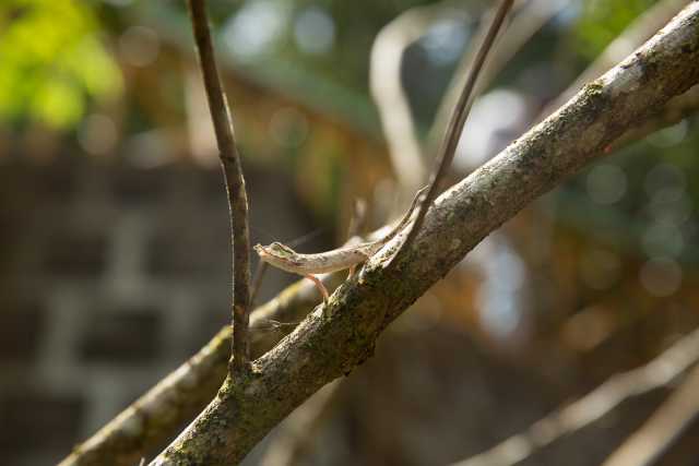 Os segredos da Rota Nacional 7 de Madagascar