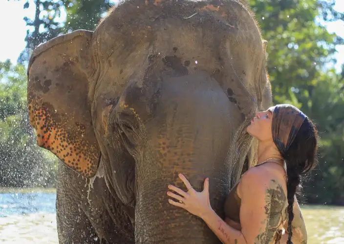 Thailand: essentials en jungles van Kanchanaburi - Chiang Mai. Bezoek aan het olifantenopvangcentrum - Foto van de dag