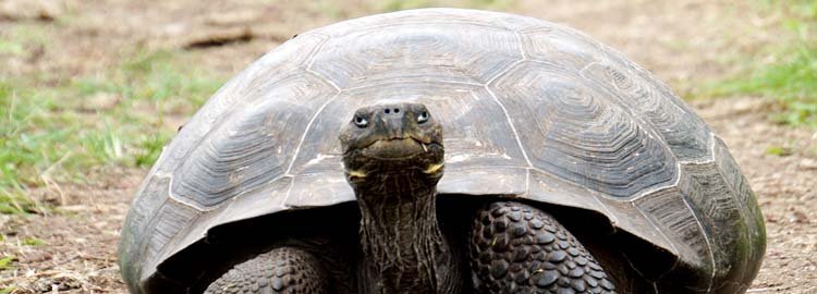 De Galápagos met het gezin - Vertrekkend naar Santa Cruz - En partance pour Santa Cruz