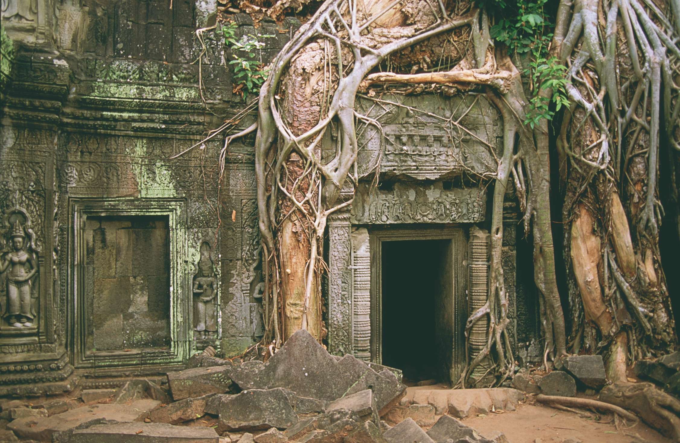 Cambodja in al zijn staten - Siem Reap - Tempels Ta Prohm en Banteay Srei - Siem Reap - Temples Ta Prohm et Banteay Srei