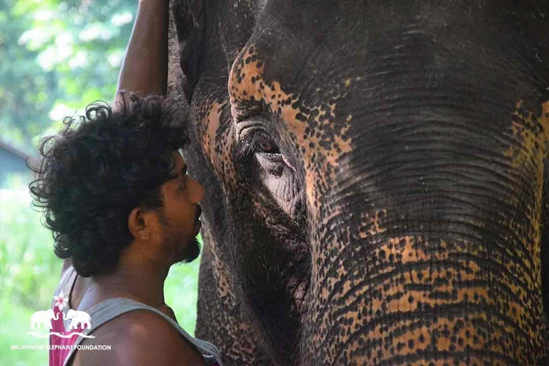 As pedras preciosas no Sri Lanka - Udawalawe a Buduruwagala e Ella (2h) - Udawalawe a Buduruwagala et Ella (2h)