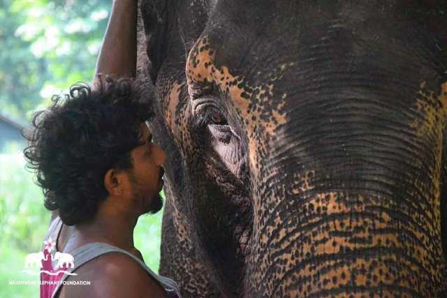 Edelstenen in Sri Lanka