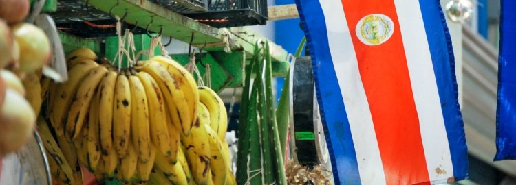 Aventure sportive au Costa Rica : montée d’adrénaline garantie. - San José - San José