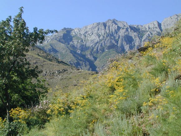 Viagem ao Uzbequistão, o legado de Tamerlão - Asraf → Uhum → retorno a Asraf – Café da manhã, almoço e jantar incluídos - Foto do dia