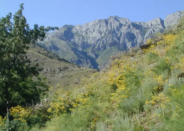 Reis naar Oezbekistan, het erfgoed van Tamerlan - Asraf → Uhum → terug naar Asraf – Ontbijt, lunch en diner inbegrepen - Foto van de dag