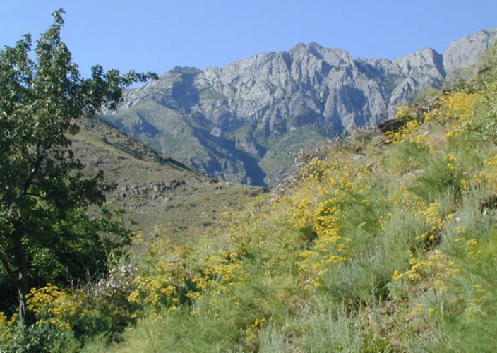 Viaje a Uzbekistán, el legado de Tamerlán - Asraf → Uhum → regreso a Asraf – Desayuno, almuerzo y cena incluidos - Foto del día
