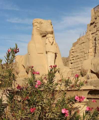 En el corazón de los esplendores de Egipto