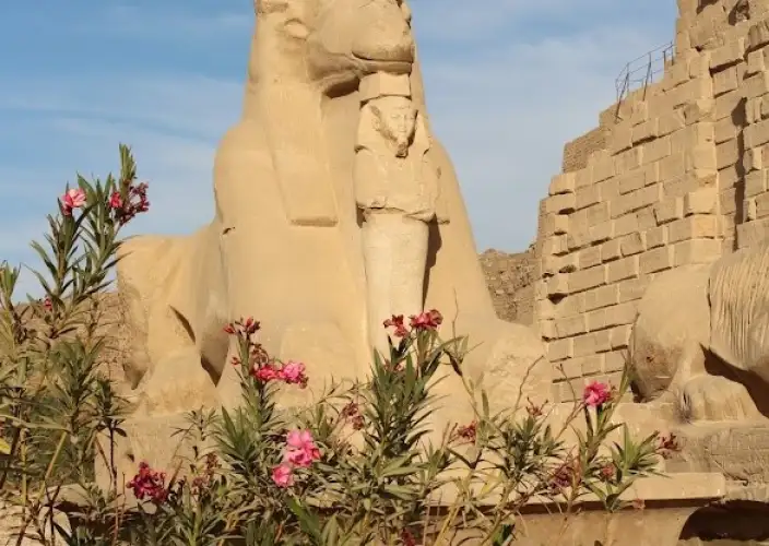 En el corazón de los esplendores de Egipto - Edfou – Asuán : continuación del crucero - Foto del día