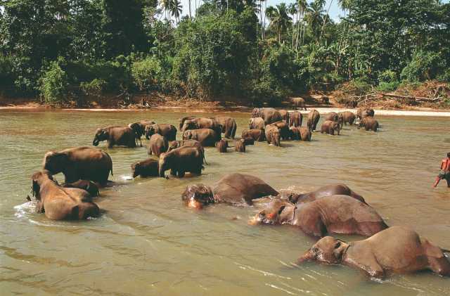 Wellnessverblijf, ontspanning en cultuur
