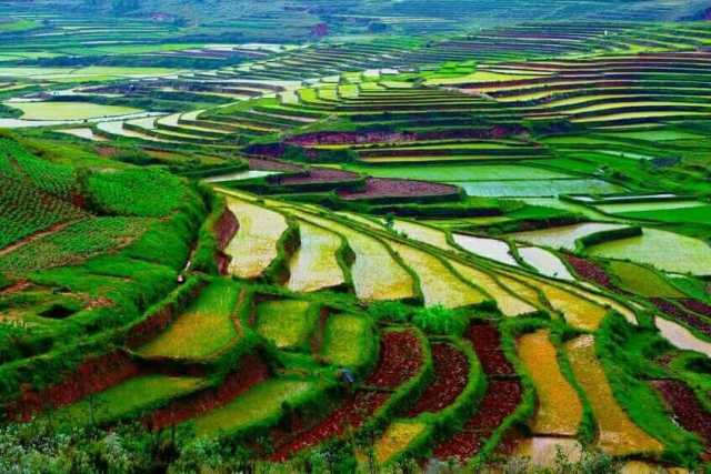 DAS TERRAS ALTAS AOS LITORAIS DO CANAL DE MOÇAMBIQUE