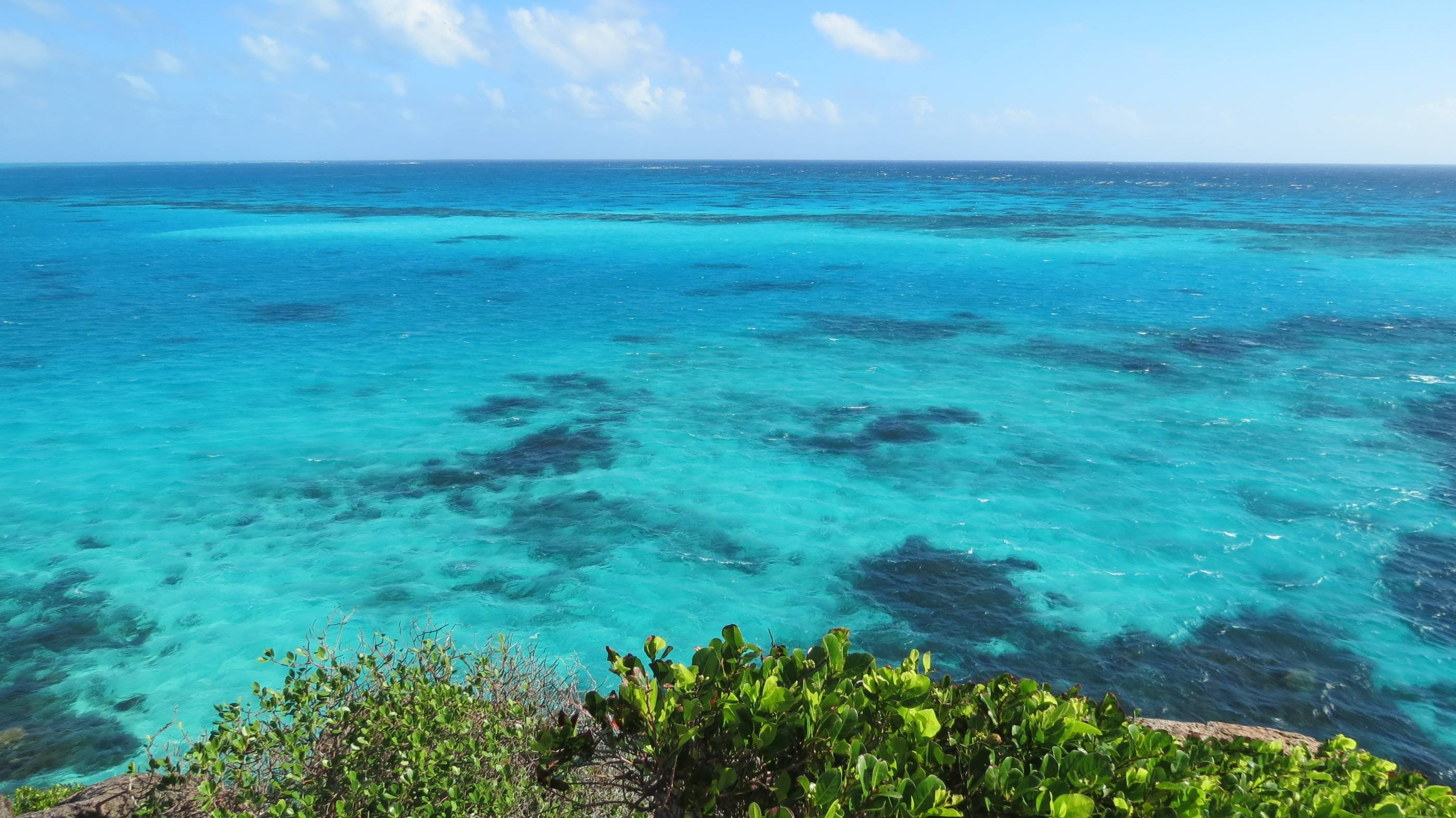 De la Amazonia al Caribe - Regreso a Cartagena de Indias - Retour à Carthagène des Indes