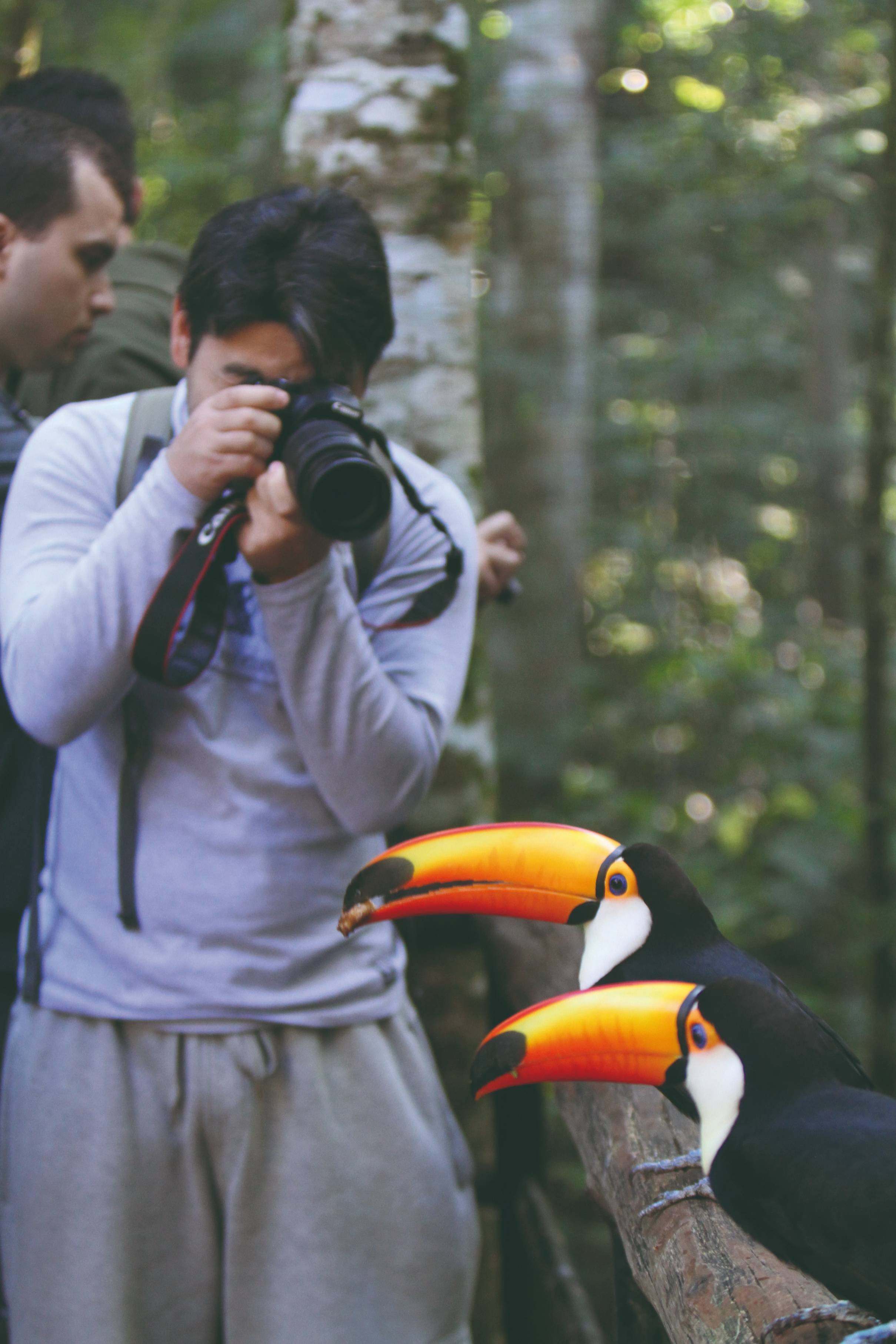 Koloniaal Brazilië - Cultuur van Bahia - Culture de Bahia
