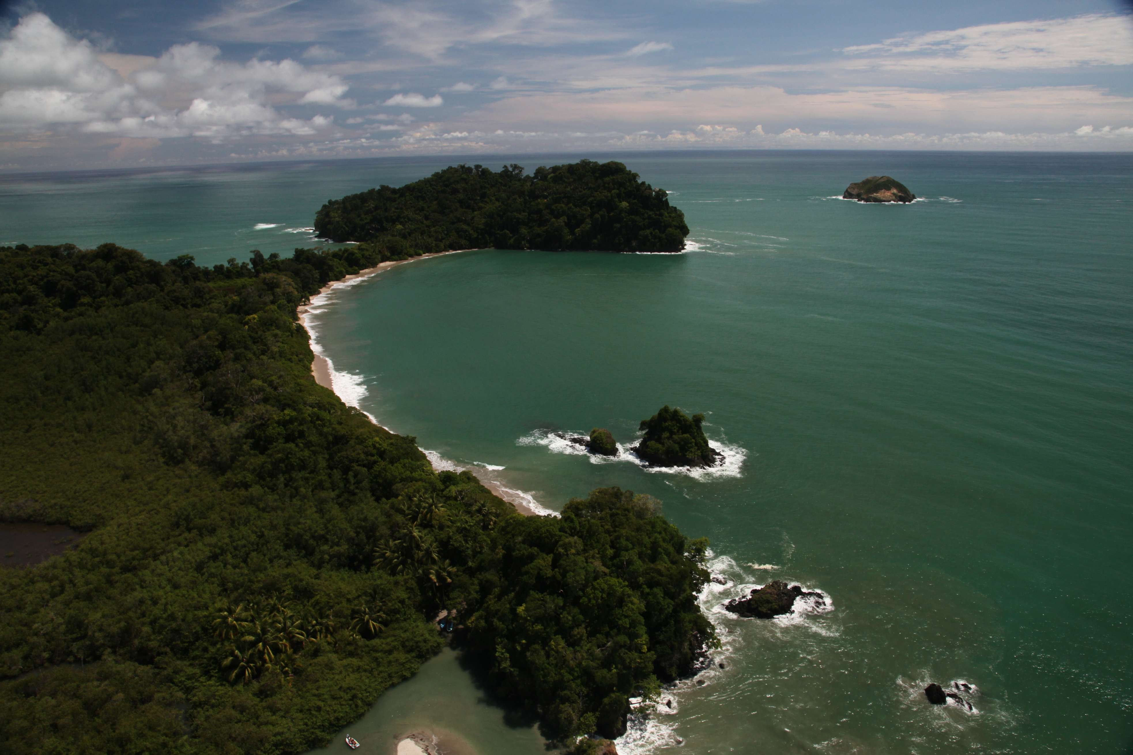 Aventure en famille au pays de l'or vert ! - Parc national Manuel Antonio - Manuel Antonio - Parc National Manuel Antonio - Manuel Antonio