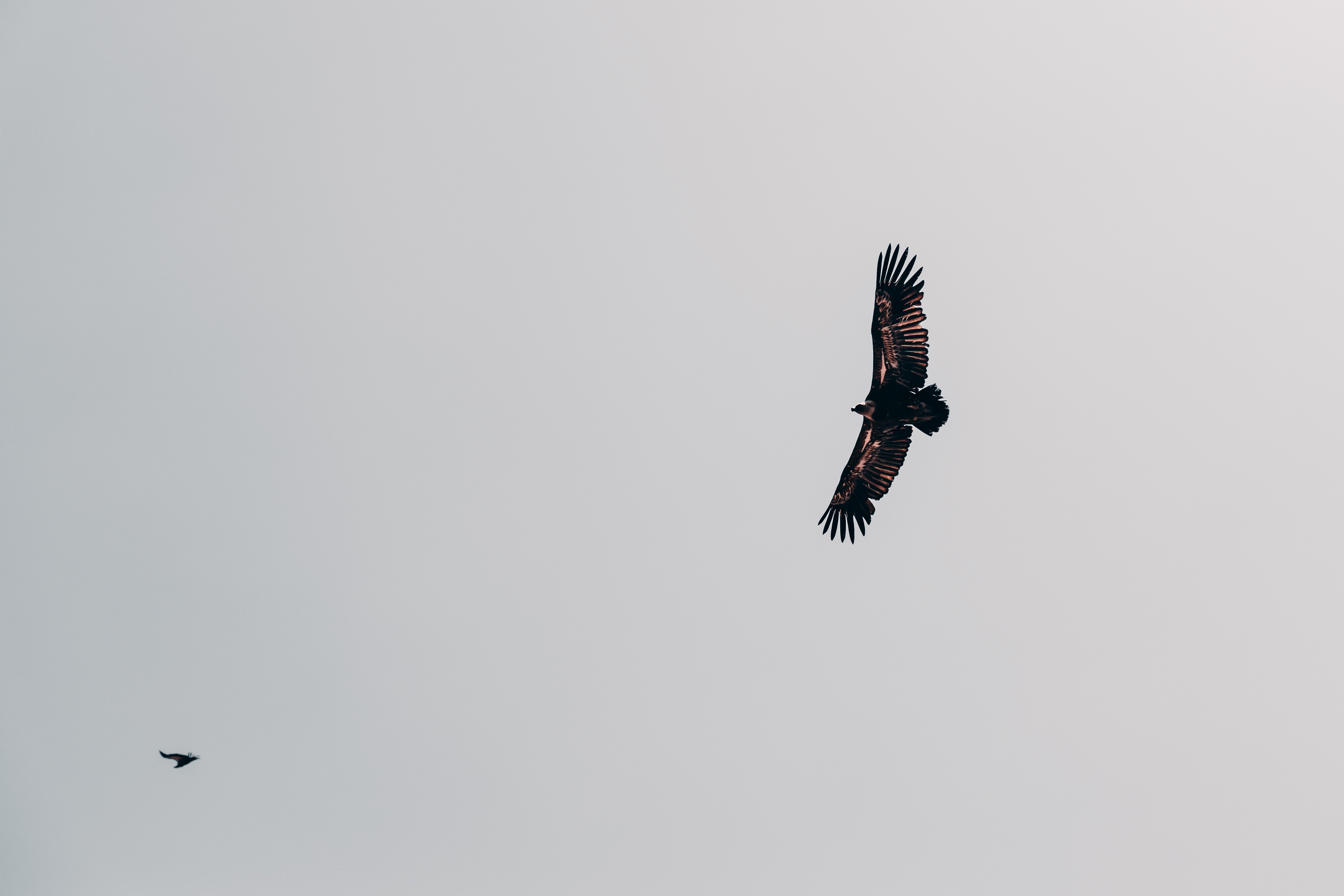 Savourez l'hospitalité du peuple ouzbek ! - YURTA - LA CHAÎNE DE NURATA - vie rurale, randonnée - YURTA - LA CHAÎNE DE NURATA - vie rurale, randonnée