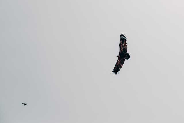 Saboreie a hospitalidade do povo usbeque!