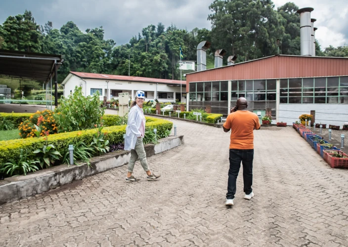 Sentier Congo-Nil de 8 jours - 2e jour sur le Congo Nile Trail, puis continuer vers Musanze via la Pfunda Tea Factory - Photo du jour