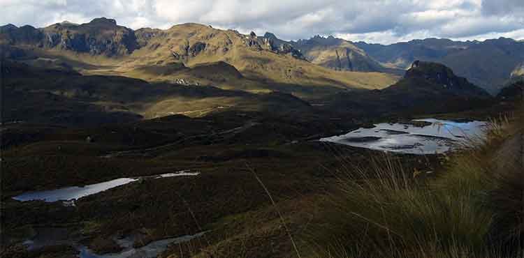 Voyage au milieu du monde - 16J - Visite du parc Cajas et départ pour Guayaquil. - Visite du Parc Cajas et départ pour Guayaquil