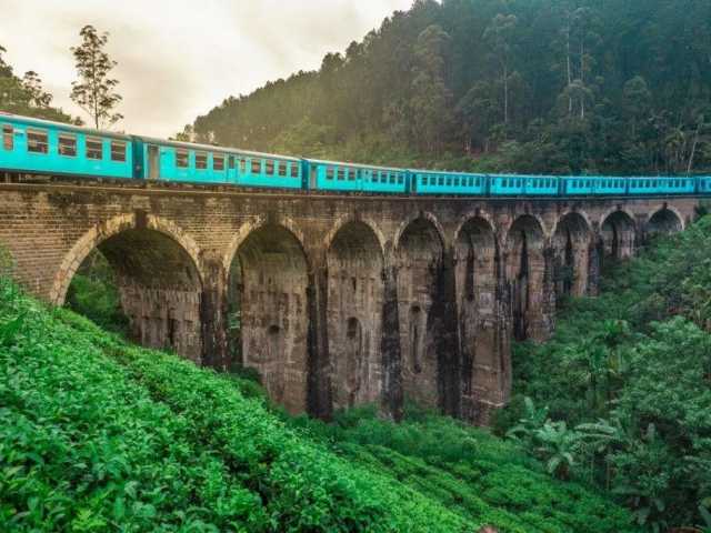 Tour Familiar Privado Kosher de 15 Dias no Sri Lanka: Natureza, Safari