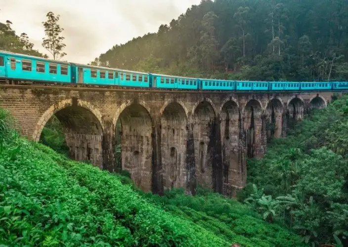 Tour Familiar Privado Kosher de 15 Dias no Sri Lanka: Natureza, Safari - Ponte dos Nove Arcos e Pequeno Pico de Adam - Foto van de dag