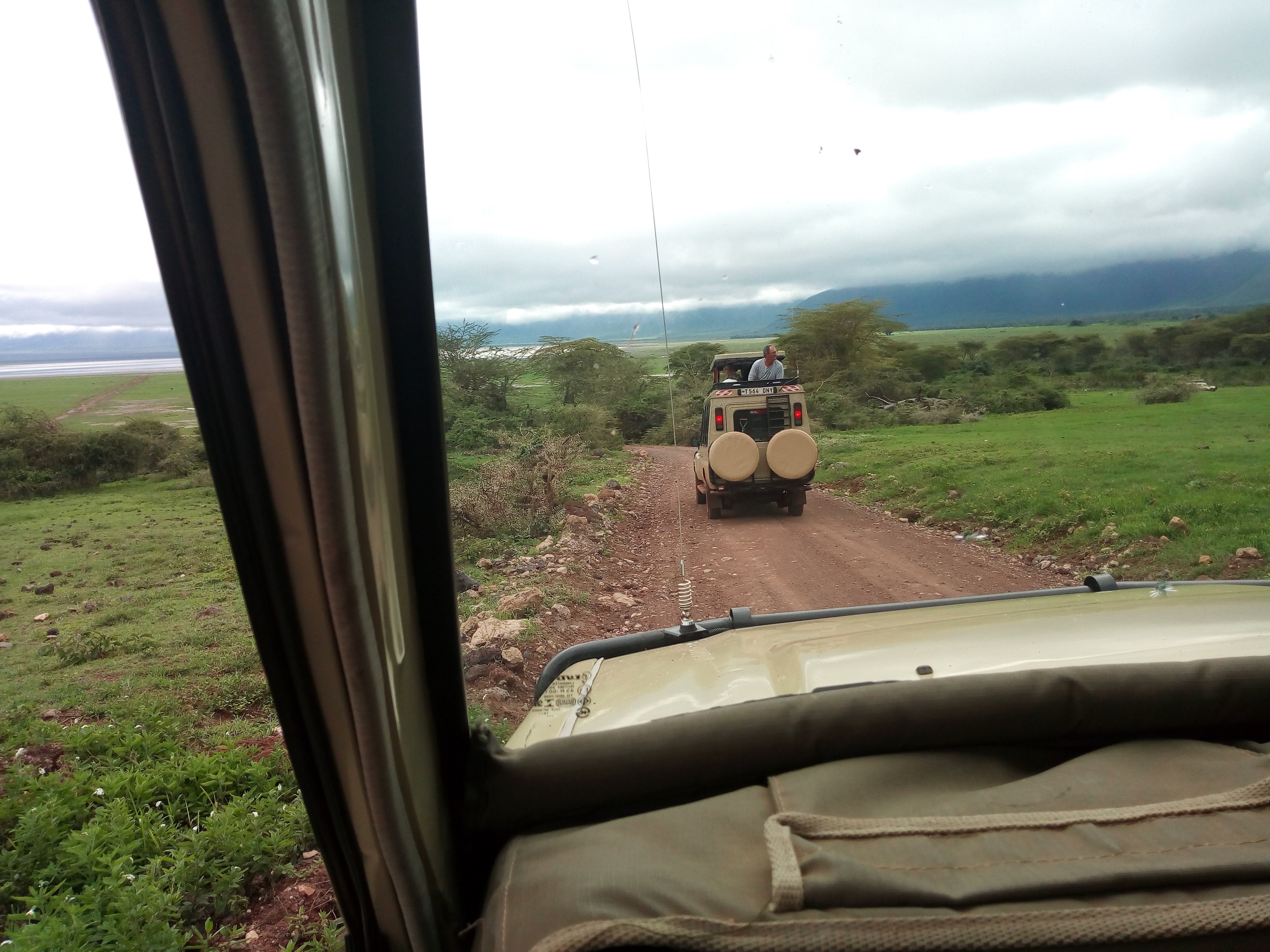 Esperienza Safari della Grande Migrazione di 7 Giorni - Serengeti a Ngorongoro - Foto del giorno
