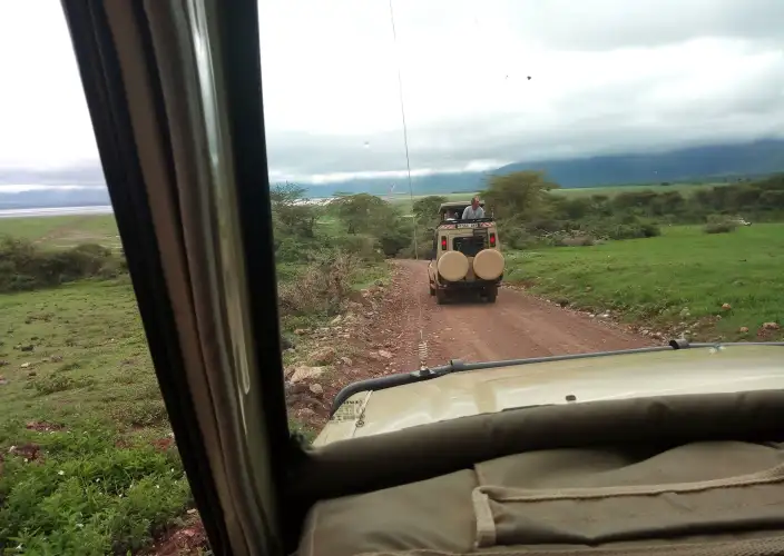 Esperienza Safari della Grande Migrazione di 7 Giorni - Serengeti a Ngorongoro - Foto del giorno