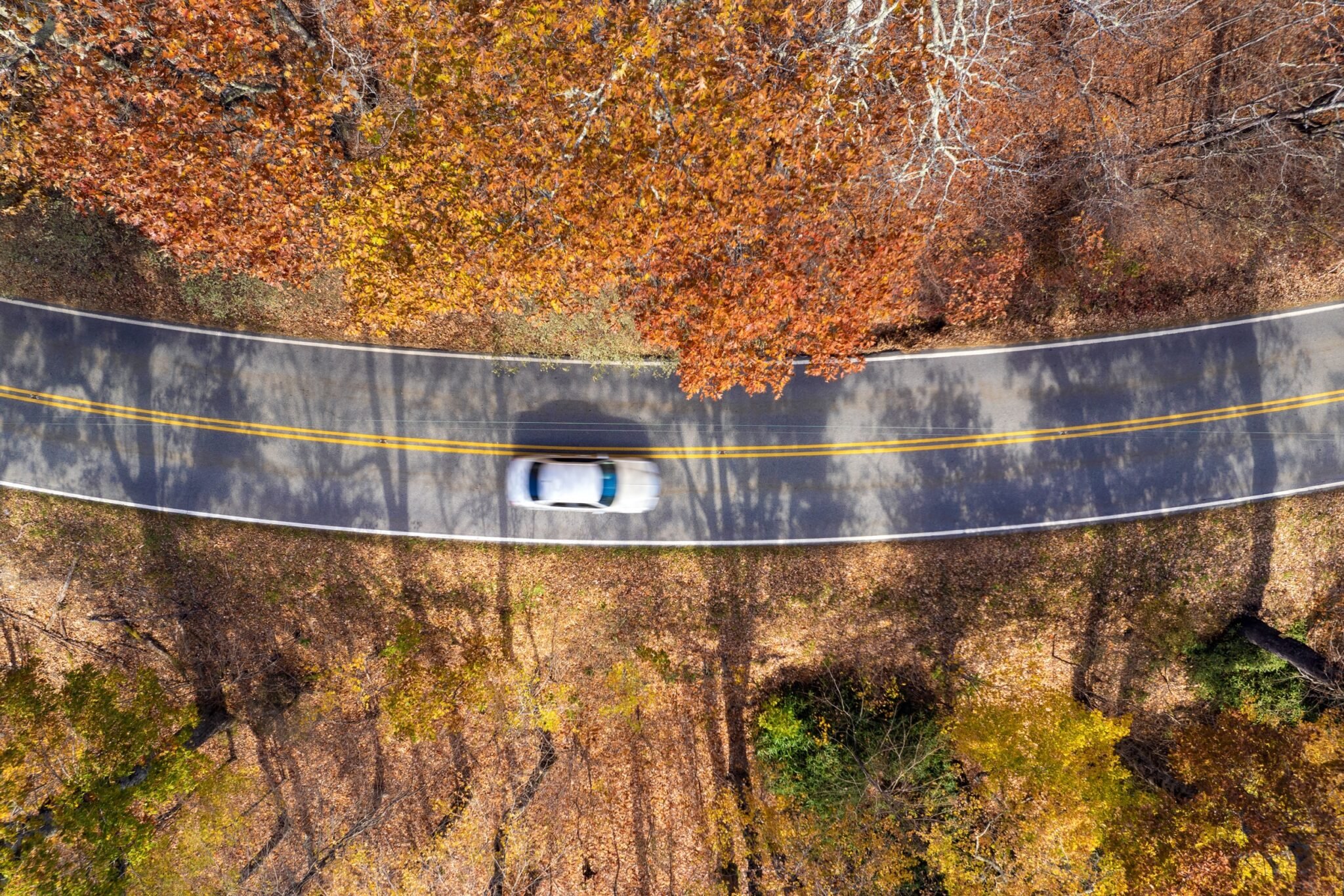 Roadtrip nelle Caroline: montagne, spiagge e città affascinanti - Scoperta delle Great Smoky Mountains - Foto del giorno